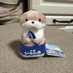 ご当地 高知限定 カワウソ うそやん 土佐かつお魂 マスコット
