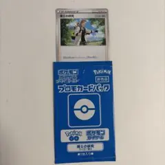 【非売品】ポケモンカード 博士の研究 ウィロー博士