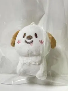 riize キャラクターグッズ