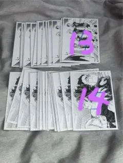 ハイキュー クロニクル 思い出スナップフォトカード　烏野高校　68枚　菅原孝支