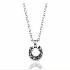 新品・未使用☆アクアシルバー ホースシュー シルバーネックレスのサムネイル