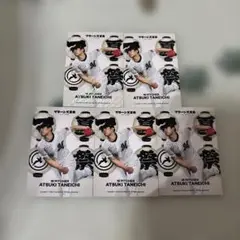 【新品・未使用】