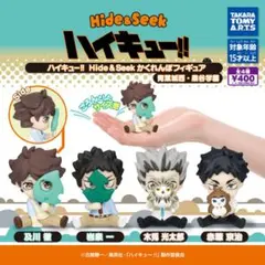 Hide&Seek ハイキュー!! かくれんぼ フィギュア 青葉城西・泉谷学園