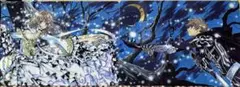 CLAMP ツバサ・クロニクル 下敷き2枚セット