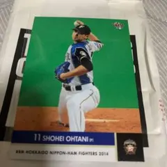 2025年最新】2014 大谷翔平の人気アイテム - メルカリ