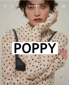 POPPY LACE SEE-THROUGH TOP シースルートップス