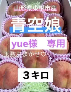 yue様専用　３キロ　化粧箱