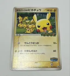 m77894936813_1.jpg?1762575370