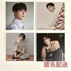 SEVENTEEN ウォヌ　エントリーカード　セット