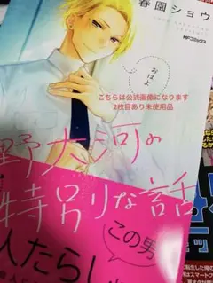 平野と鍵浦 かけ替えブックカバー