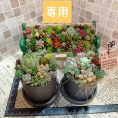 a w様 リクエスト 2点 まとめ商品