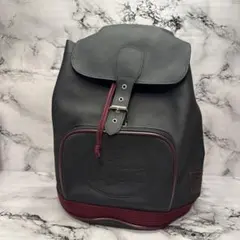 (極美品)大人気、ラコステ、リュック、大容量、A-4可、撥水加工生地、男女兼用