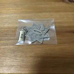 鬼滅の刃 鍔チャームコレクション 不死川実弥