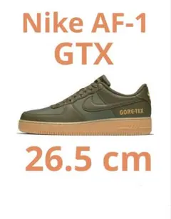 Nike Air Force 1 GORE-TEX オリーブグリーン　26.5