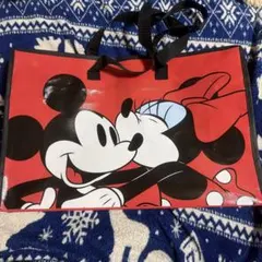 ディズニーストア ラッキーバッグ 袋
