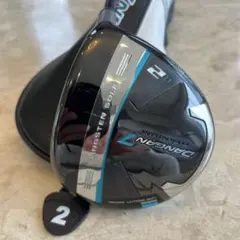 Item thumbnail for item 69dd2930-85a5-4b88-9328-665f8932abcd