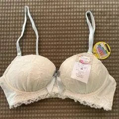 Item thumbnail for item 97e0f4a7-f745-4ae5-ad9e-aef0b585c675