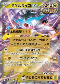 【本格構築】タケルライコex 構築済みデッキ　ポケモンカード