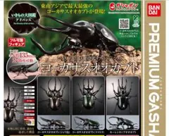 いきもの大図鑑アドバンス　コーカサスオオカブト