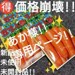 ♥【あか様、専用ページ!!】アタリヤ農園『とっても甘い 五寸人参』4袋セット