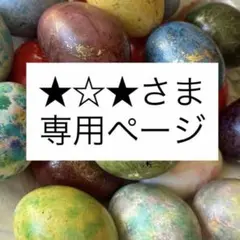 ★⭐︎★様専用ページ
