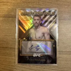 Item thumbnail for item 538a3072-9e62-49b8-9014-226a900feeb8