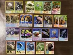 バラ売り100円】鳥羽水族館 コレクションカード（とレカ） - メルカリ