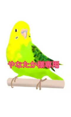 やなたか様 リクエスト 3点 まとめ商品