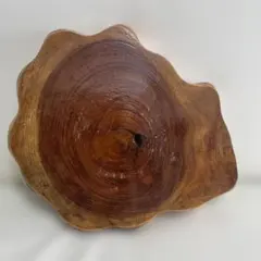 Item thumbnail for item a481c134-cec6-481b-8d2f-b94969a7585a