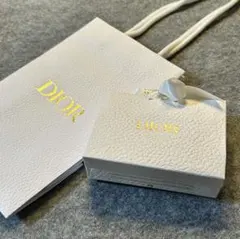 Christian Dior ショップ袋 ショッパー ギフト用紙袋 2点セット