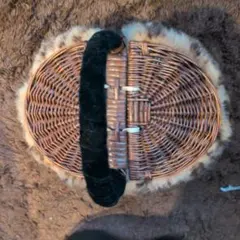 Item thumbnail for item 132863ea-a1dc-4b8e-b6aa-ba8de9ba711f