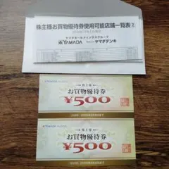 ヤマダ電機　YAMADA HOLDGS. お買物優待券 ¥500×2枚