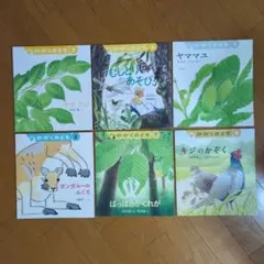 月刊かがくのとも 絵本セット