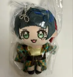 きいろ様 はぴぬい ぬい服 B &ZAI メンカラチェック衣装 - メルカリ