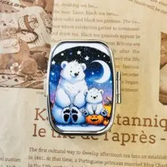 P780 ハンドメイド ピルケース 薬箱 小物入れ　シロクマ　親子　ハロウィン