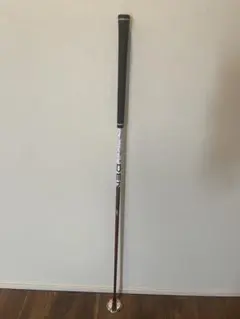 タイトリスト 日本正規品 DENALI RED 50G 5.5 シャフト Dr - メルカリ