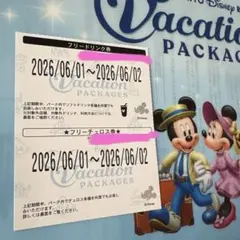 ディズニー　フリードリンク券　フリーチュロス券　バケパのサムネイル