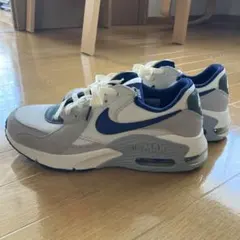 NIKE AIR MAX ナイキ/エアマックス　26cm