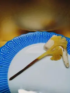 ぽた様 リクエスト 2点 まとめ商品