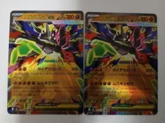 メガジガルデex RR メガピクシーex ムニキスゼロ