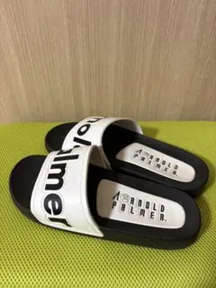 Item thumbnail for item f6017d23-5e64-4394-a6c5-2bdbd1e4d6c5