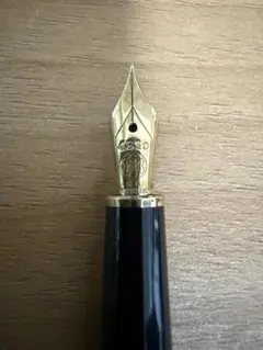 言葉が整う筆致｜カスタム74 M（中字）｜ほぼ未使用の良美品です 14k