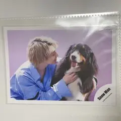 SnowMan 佐久間大介 オフショ⑦ 公式写真 KISSIN' MY LIPS