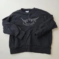 BREEZE 恐竜プリント トレーナー サイズ120