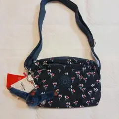 Item thumbnail for item 237efe6d-2a8b-4524-84c9-d1b8a5001579