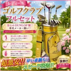 激安！ダンロップ ミズノ 初心者 レディースゴルフクラブセット フルセット 一式のサムネイル