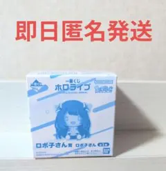 いちぞん様 リクエスト 2点 まとめ商品(箱あり)