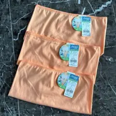 Item thumbnail for item 7f535f13-25e2-4092-ad08-8aed7950954b