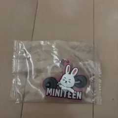 miniteen めじるしアクセサリー　エスクプス