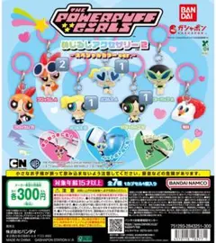 パワーパフガールズ　めじるしアクセサリー2